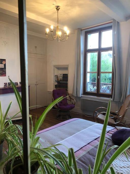 L'Omerade: Appartement De Charme Dans Une Maison Audomaroise Сент-Омер Экстерьер фото
